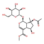 RHAWN 8-O-acetyl shanzhiside methyl ester