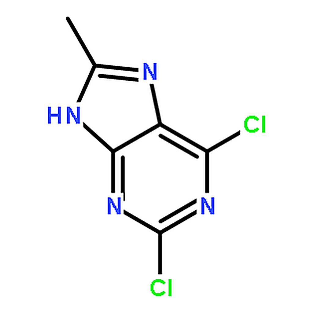 RHAWN 2,6-Dichloro-8-methyl-9H-purine