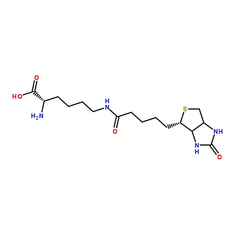 RHAWN biocytin