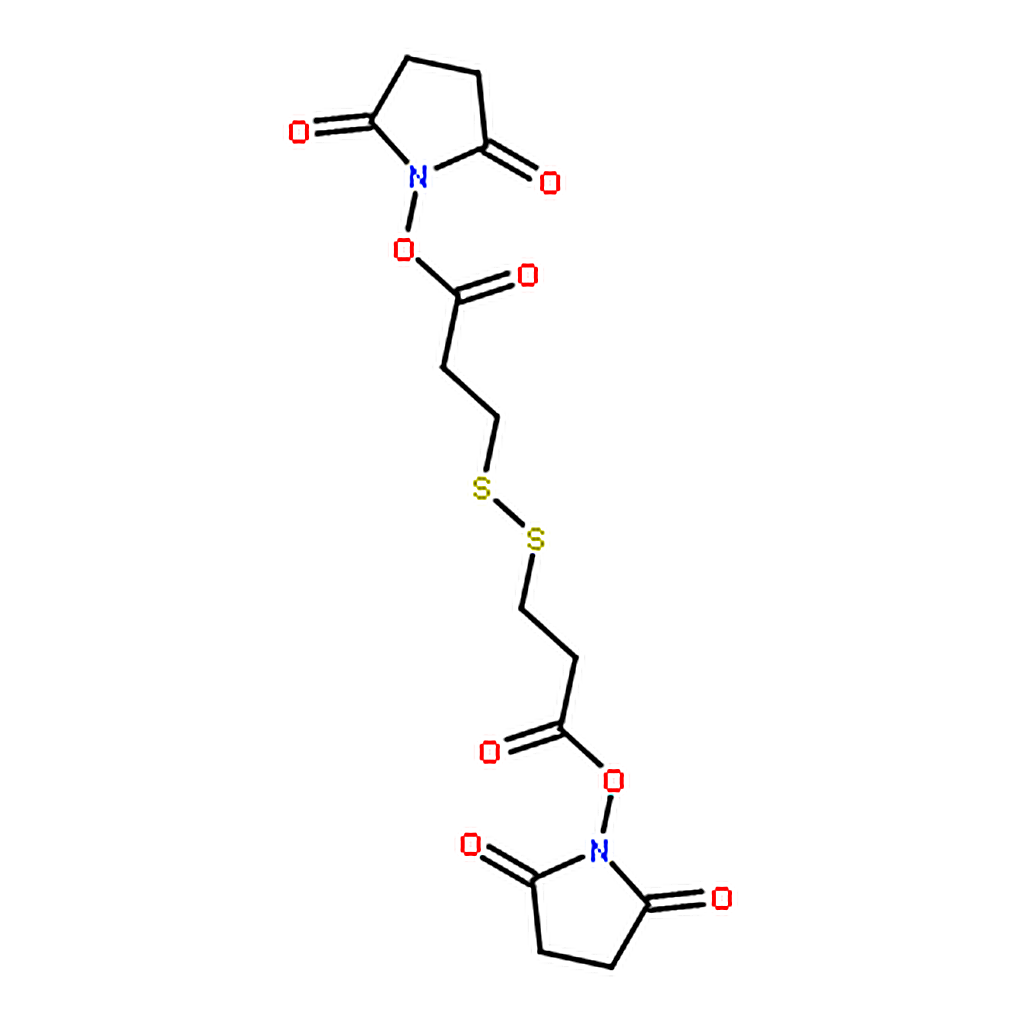 RHAWN Di(N-succinimidyl) 3,3'-Dithiodipropionate [Cross-linking Reagent]