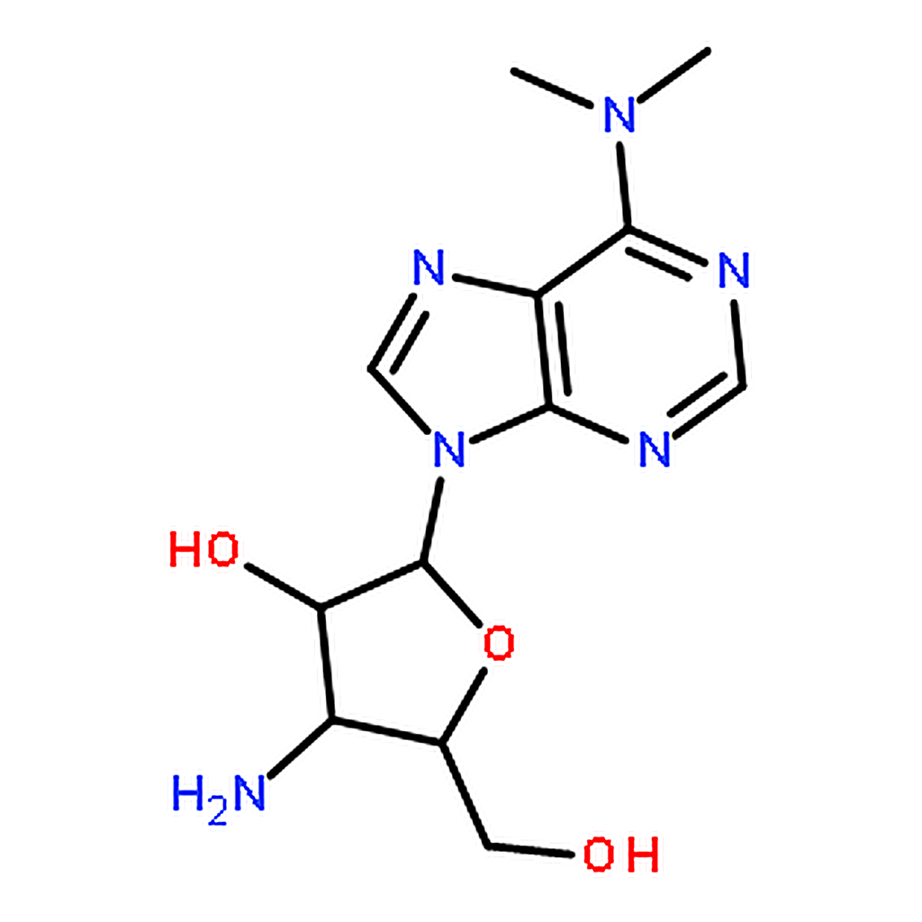 RHAWN Puromycin aminonucleoside