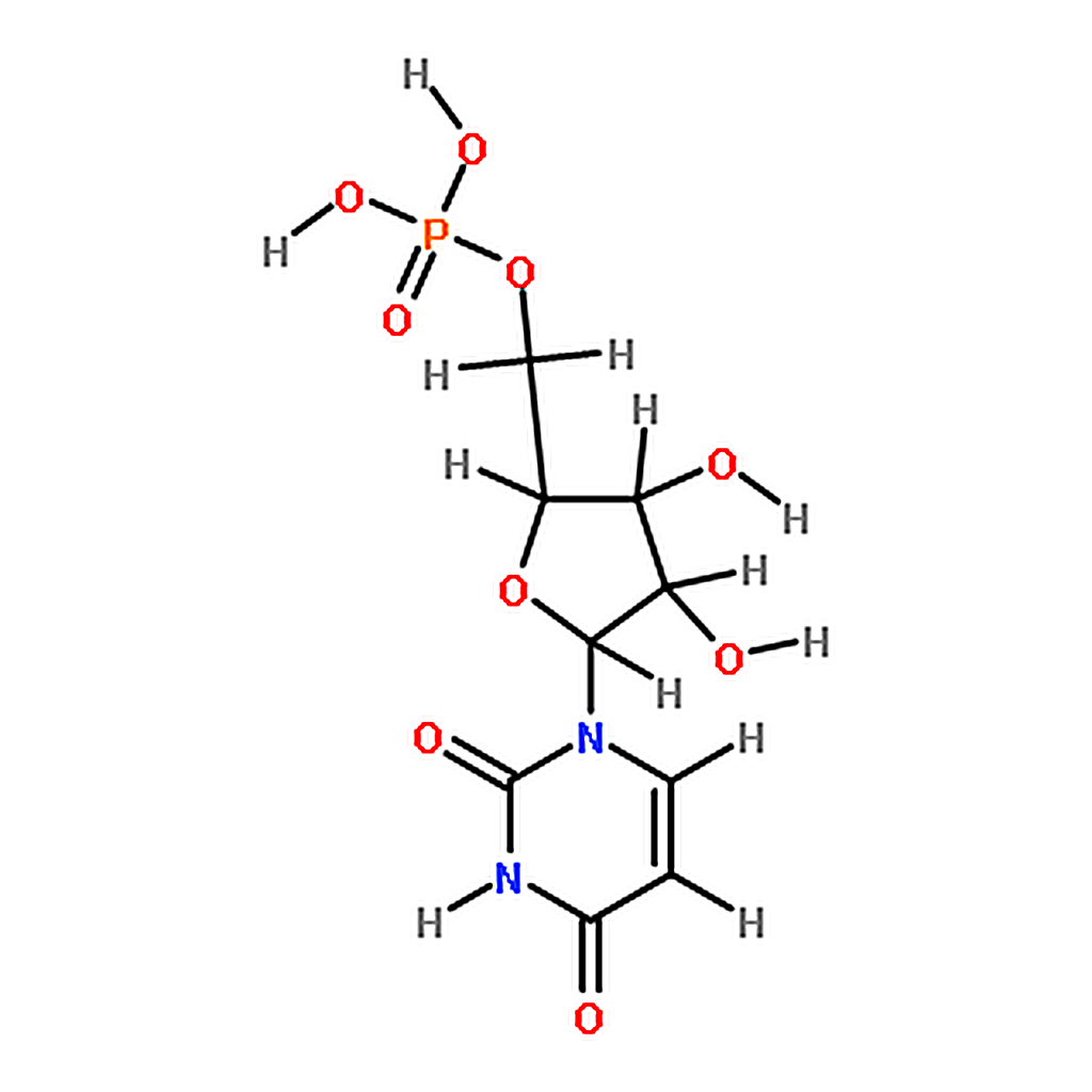 RHAWN URIDINE 5-MONOPHOSPHATE FREE ACID