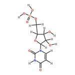 RHAWN URIDINE 5-MONOPHOSPHATE FREE ACID