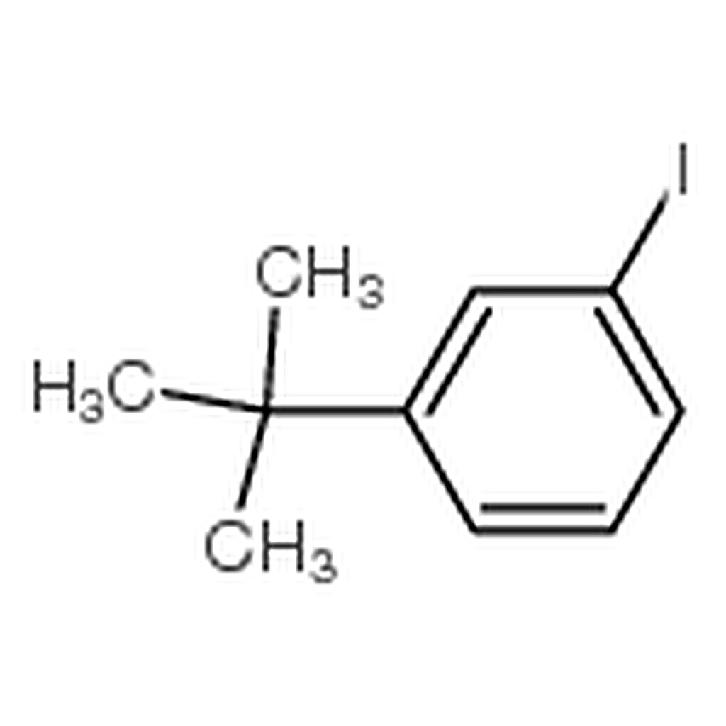 RHAWN 1-tert-butyl-3-iodobenzene