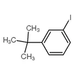 RHAWN 1-tert-butyl-3-iodobenzene
