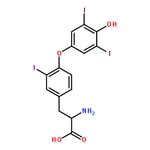 RHAWN 3,3',5'-Triiodo-L-thyronine