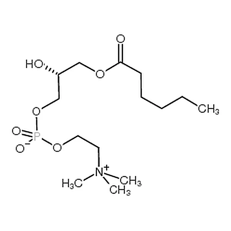 RHAWN 1-hexanoyl-2-hydroxy-sn-glycero-3-phosphocholine