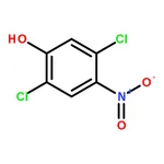 RHAWN 2,5-Dichloro-4-Nitrophenol