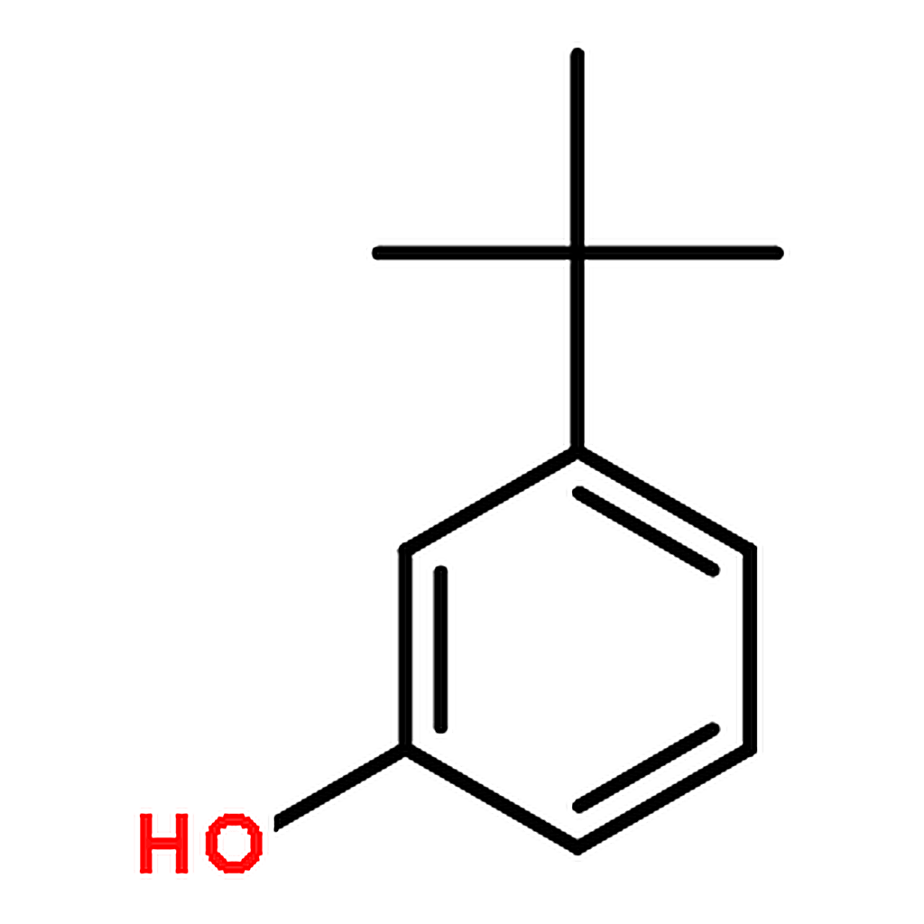 RHAWN 3-tert-Butylphenol