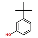 RHAWN 3-tert-Butylphenol