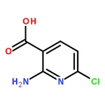 RHAWN 2-Amino-6-chloronicotinic acid