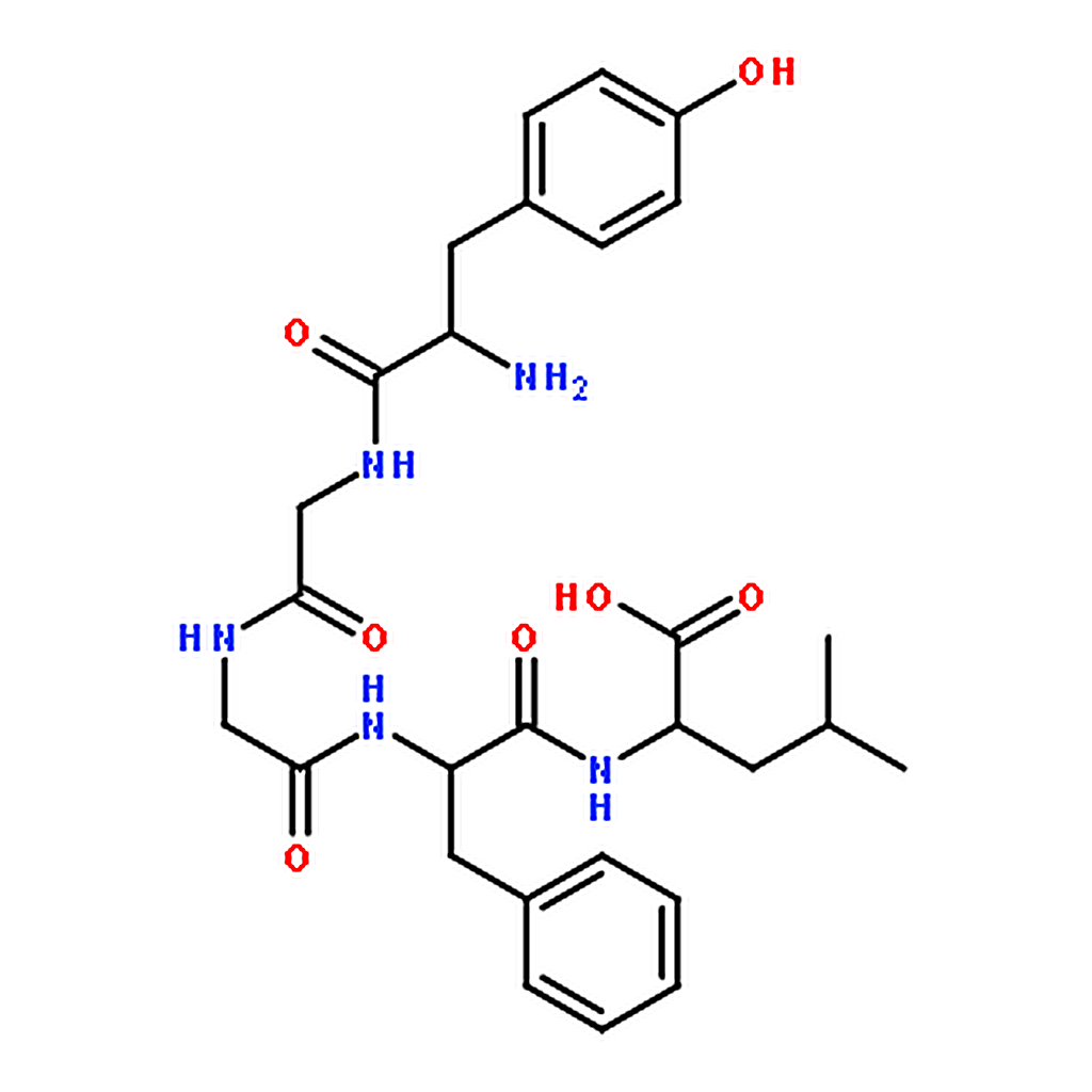 RHAWN [LEU5]-ENKEPHALIN