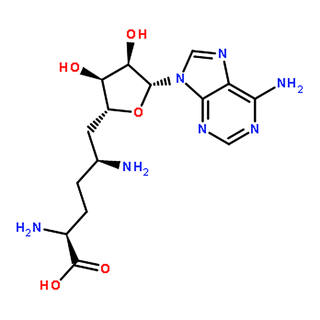 RHAWN Sinefungin