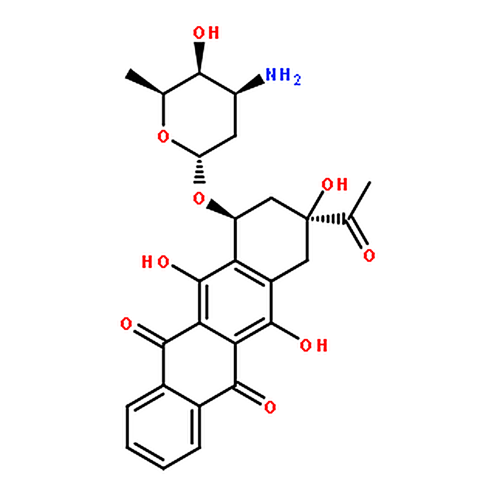 RHAWN Idarubicin