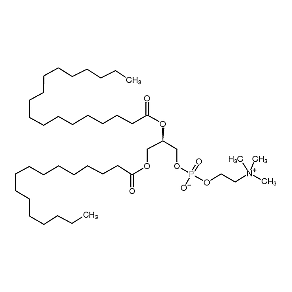 RHAWN 1-palmitoyl-2-stearoyl-sn-glycero-3-phosphocholine