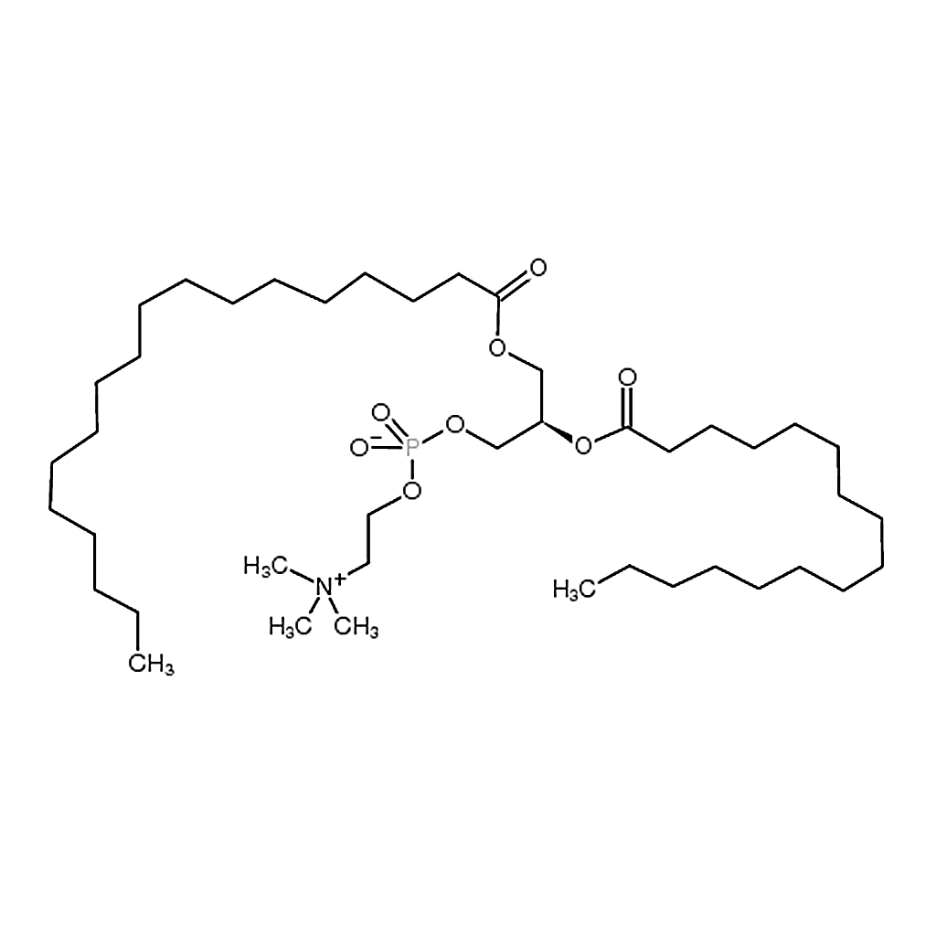 RHAWN 1-stearoyl-2-palmitoyl-sn-glycero-3-phosphocholine