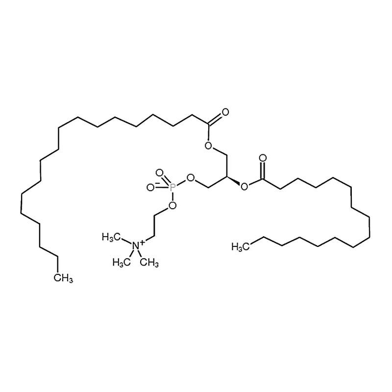 RHAWN 1-stearoyl-2-palmitoyl-sn-glycero-3-phosphocholine