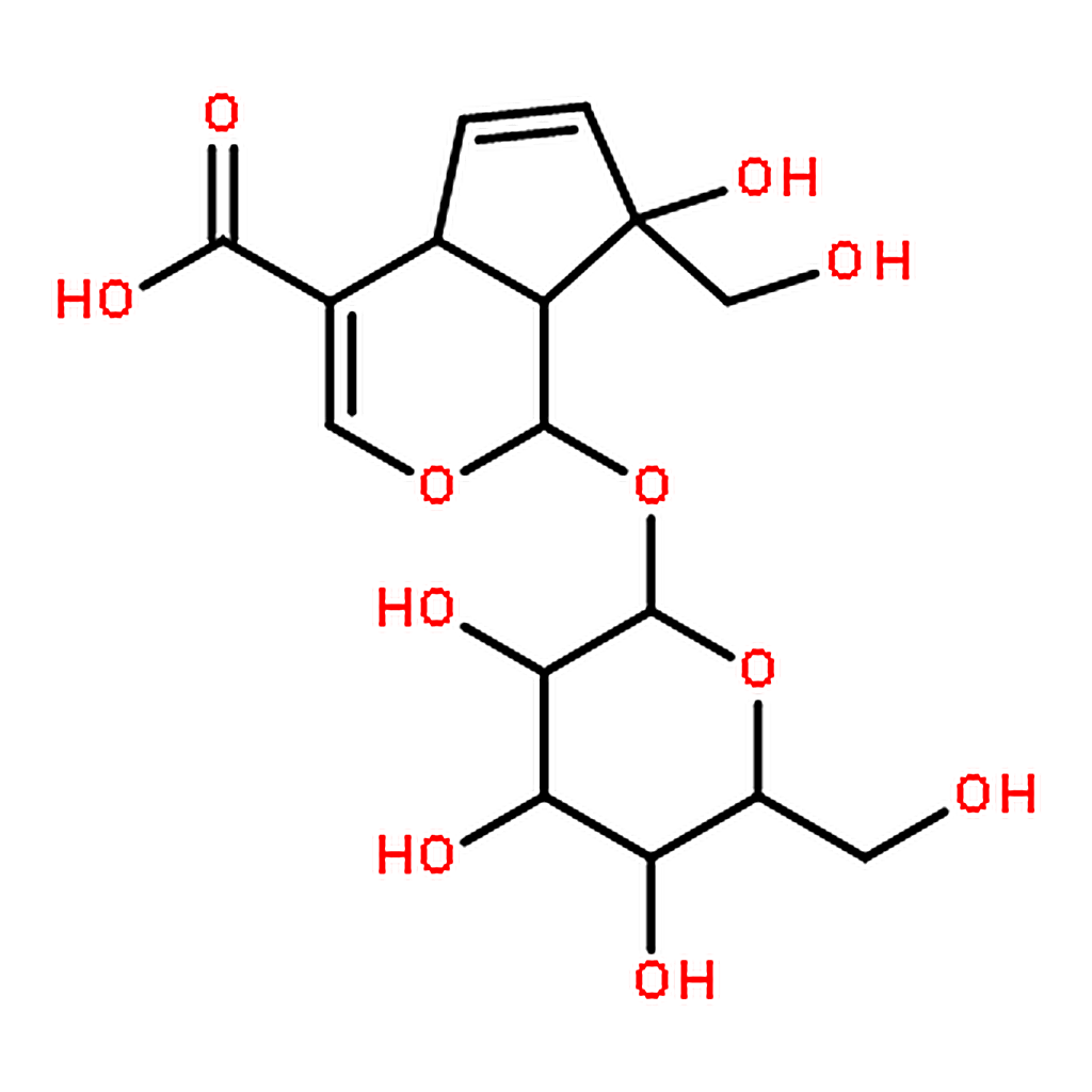 RHAWN Monotropein