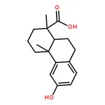 RHAWN Podocarpic acid
