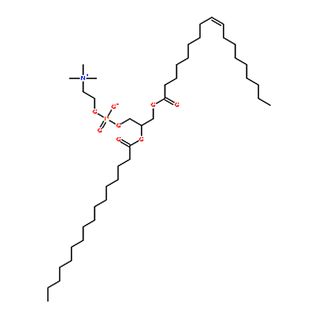 RHAWN 1-oleoyl-2-palmitoyl-sn-glycero-3-phosphocholine