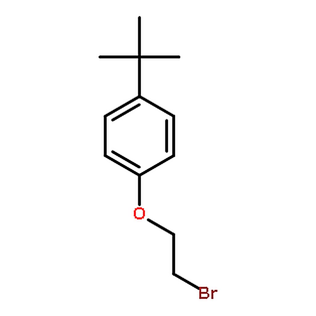 RHAWN 1-(2-Bromoethoxy)-4-(tert-butyl)benzene