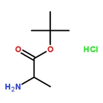 RHAWN D-Alanine tert-butyl ester hydrochloride