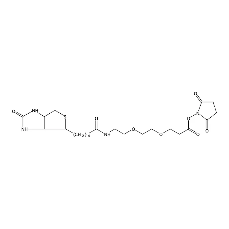 RHAWN N -Succinimidyl 9-(Biotinamido)-4,7-dioxanonanoate