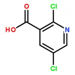 RHAWN 2,5-Dichloronicotinic acid