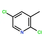RHAWN 2,5-Dichloro-3-methylpyridine