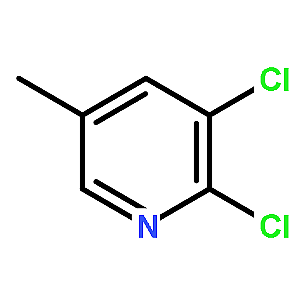 RHAWN 2,3-Dichloro-5-methylpyridine