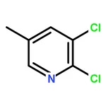 RHAWN 2,3-Dichloro-5-methylpyridine
