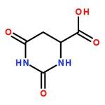RHAWN D-Hydroorotic Acid
