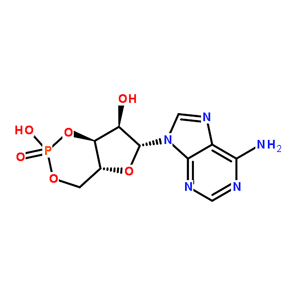 RHAWN Cyclic AMP