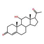 RHAWN 11beta-Hydroxyprogesterone