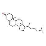 RHAWN 3-Keto Cholesterol