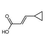 RHAWN (E)-3-Cyclopropylacrylic acid
