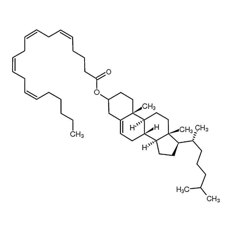 RHAWN Cholesteryl Arachidonate
