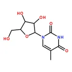 RHAWN Thymine 1--D-arabinofuranoside