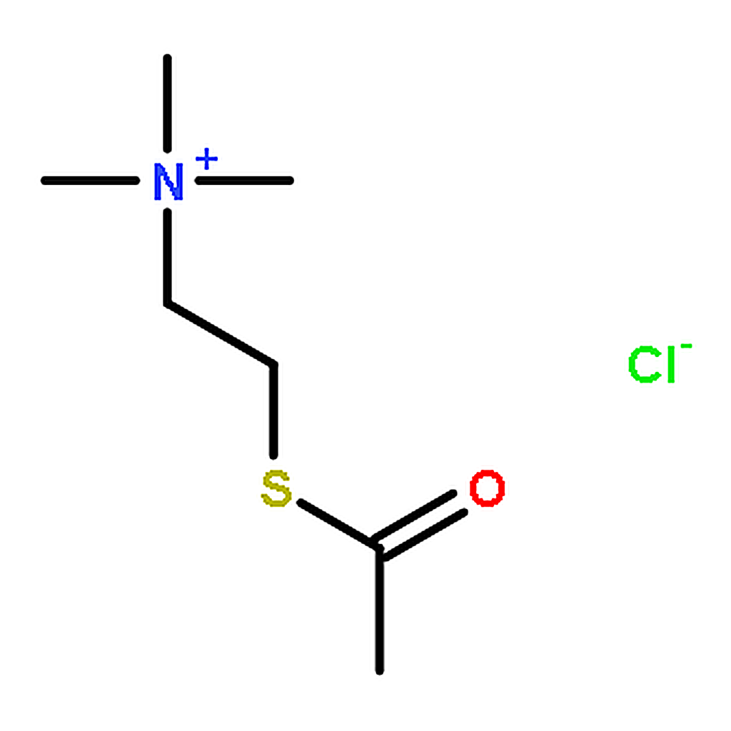 RHAWN Acetylthiocholine chloride