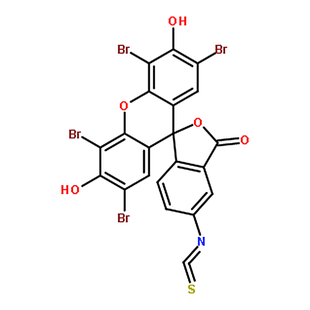 RHAWN Eosin-5-isothiocyanate