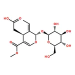 RHAWN Oleoside 11-methyl ester