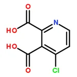 RHAWN 4-Chloropyridine-2,3-dicarboxylic acid