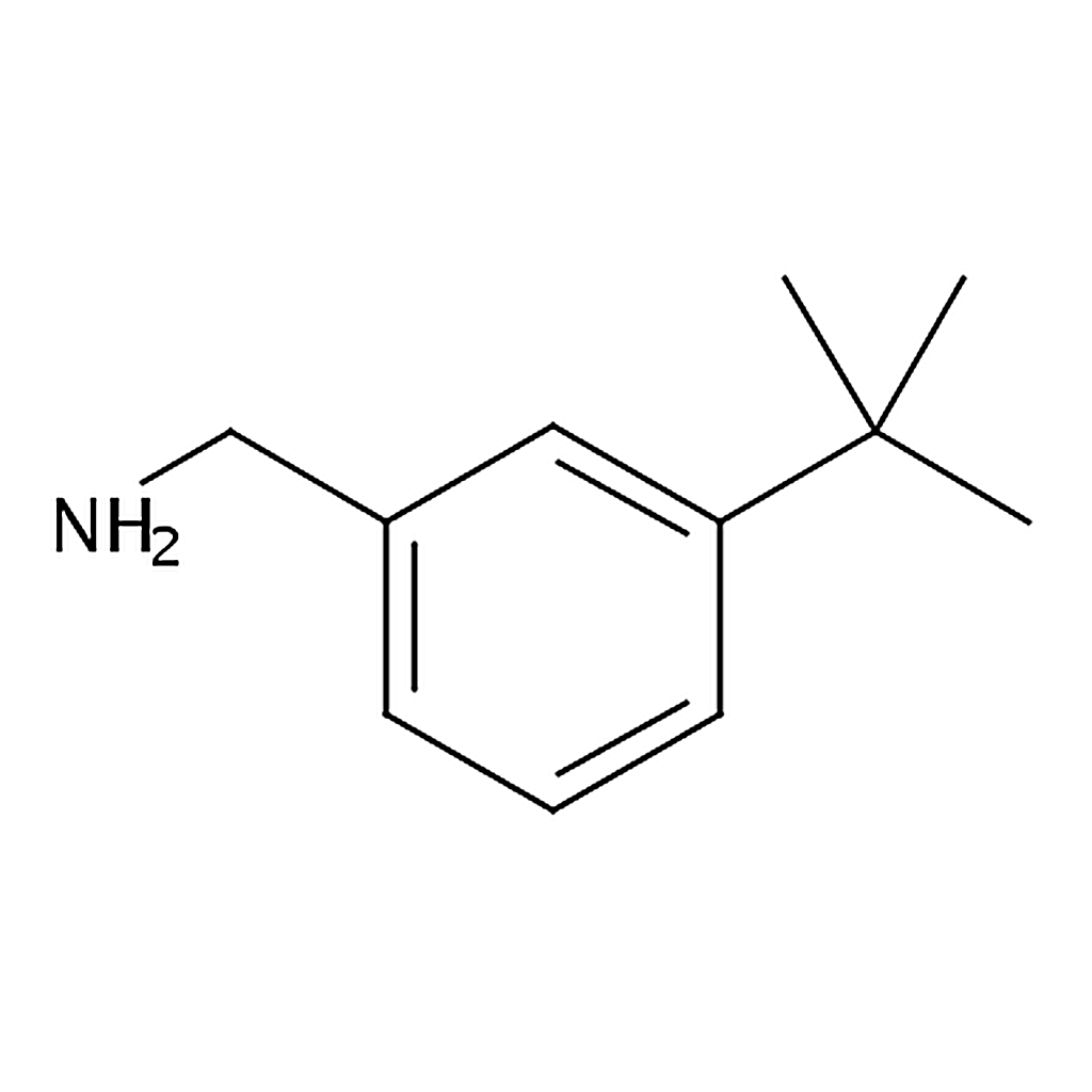 RHAWN (3-(tert-Butyl)phenyl)methanamine