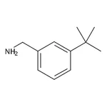 RHAWN (3-(tert-Butyl)phenyl)methanamine