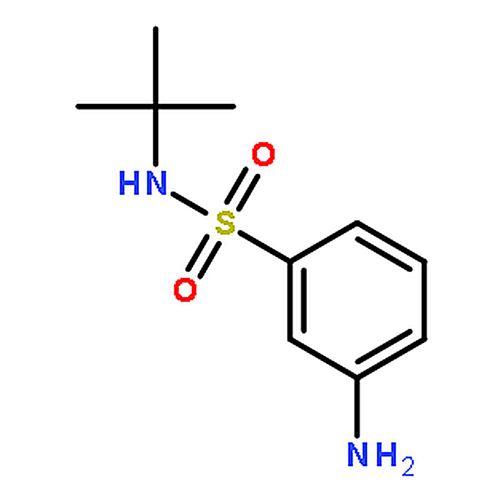 RHAWN N-tert-Butyl 3-Aminophenylsulfonamide