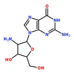 RHAWN 2'-Amino-2'-deoxyguanosine