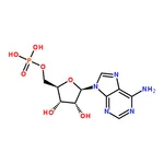 RHAWN Adenosine 5'-monophosphate