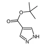 RHAWN tert-Butyl 1H-pyrazole-4-carboxylate