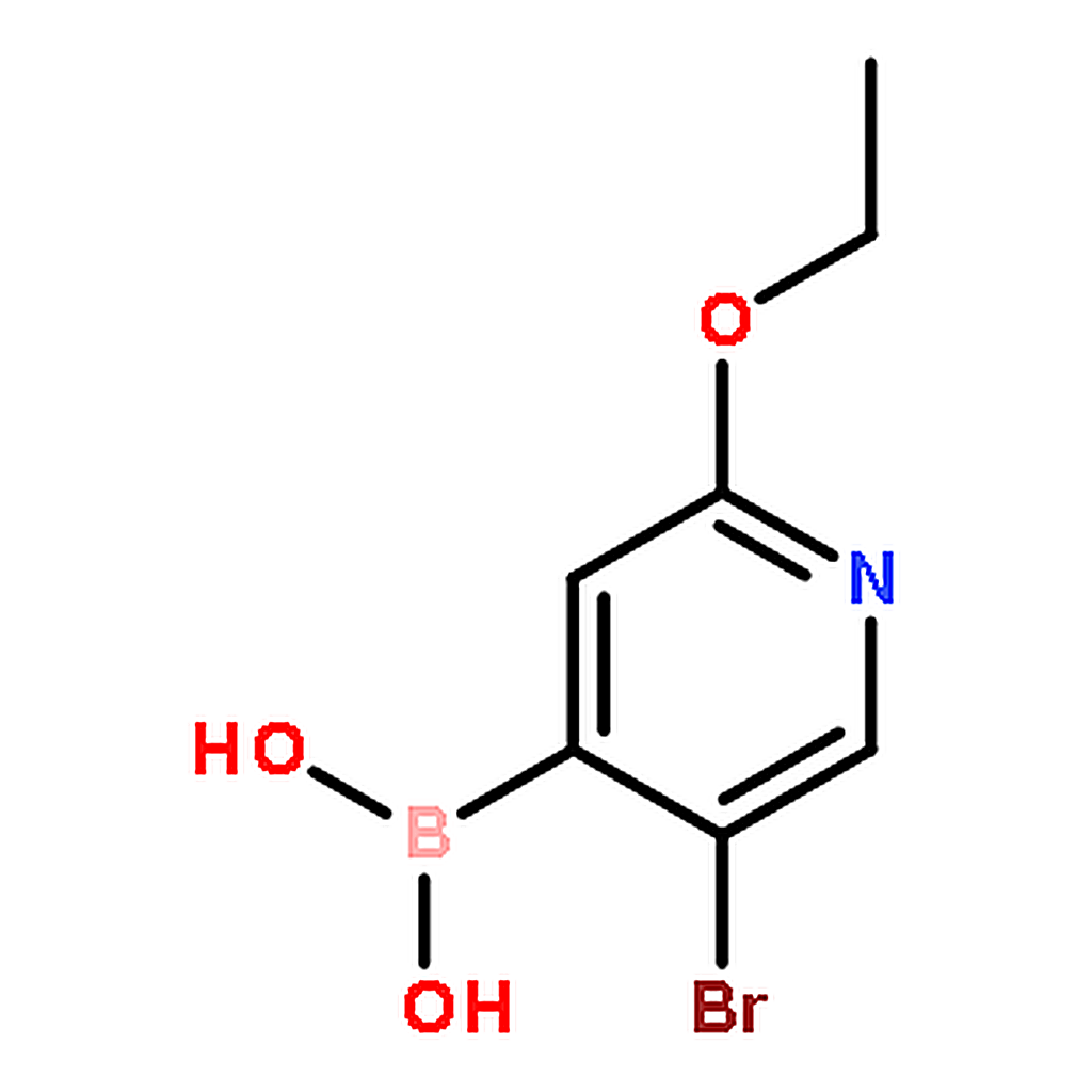 RHAWN (5-Bromo-2-ethoxypyridin-4-yl)boronic acid