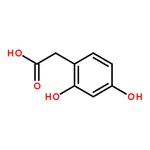 RHAWN 2,4-Dihydroxyphenylacetic acid